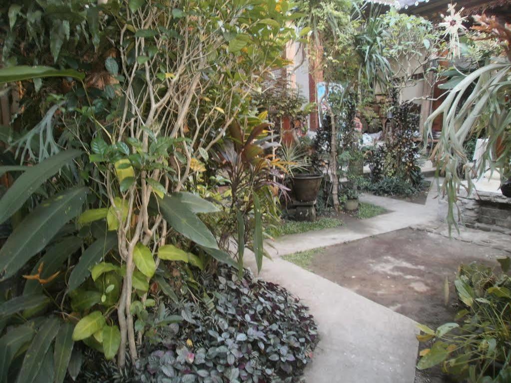 Alamanda Accomodation Ubud  Exterior photo